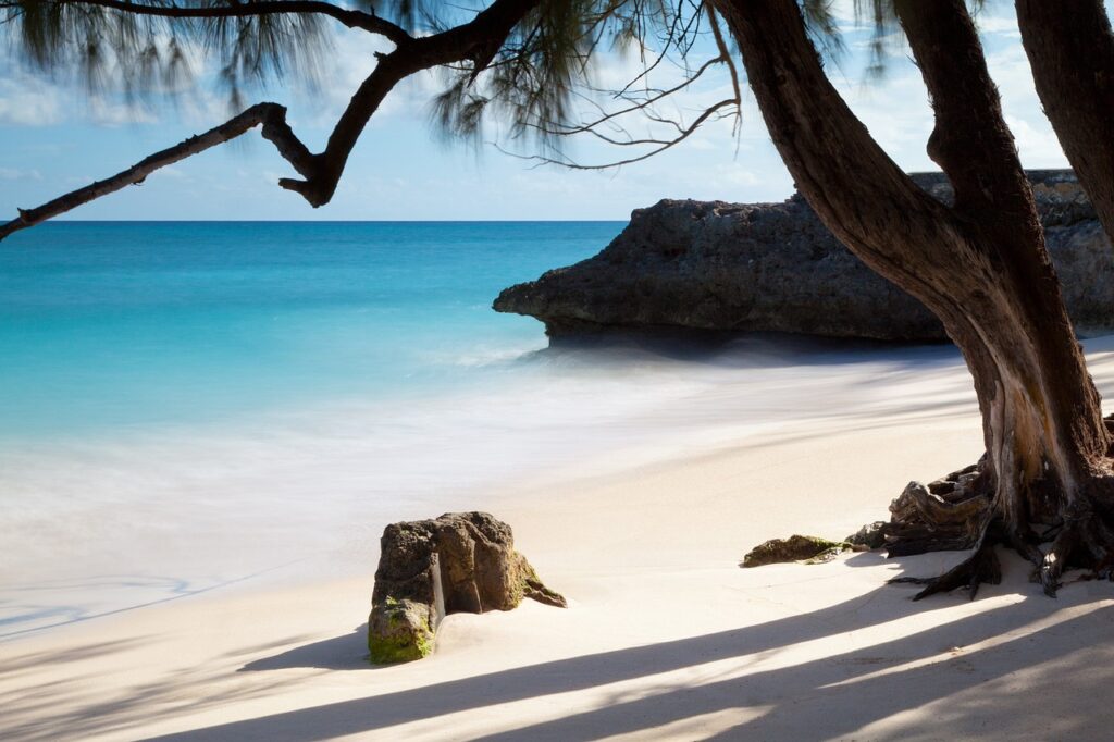 Best time to visit Barbados