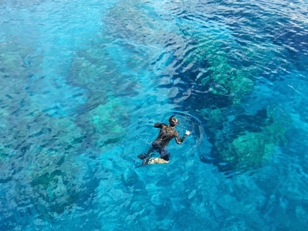 snorkeling, water, ocean