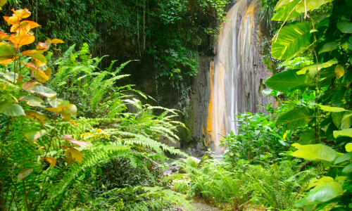 St Lucia Diamond Falls Soufriere